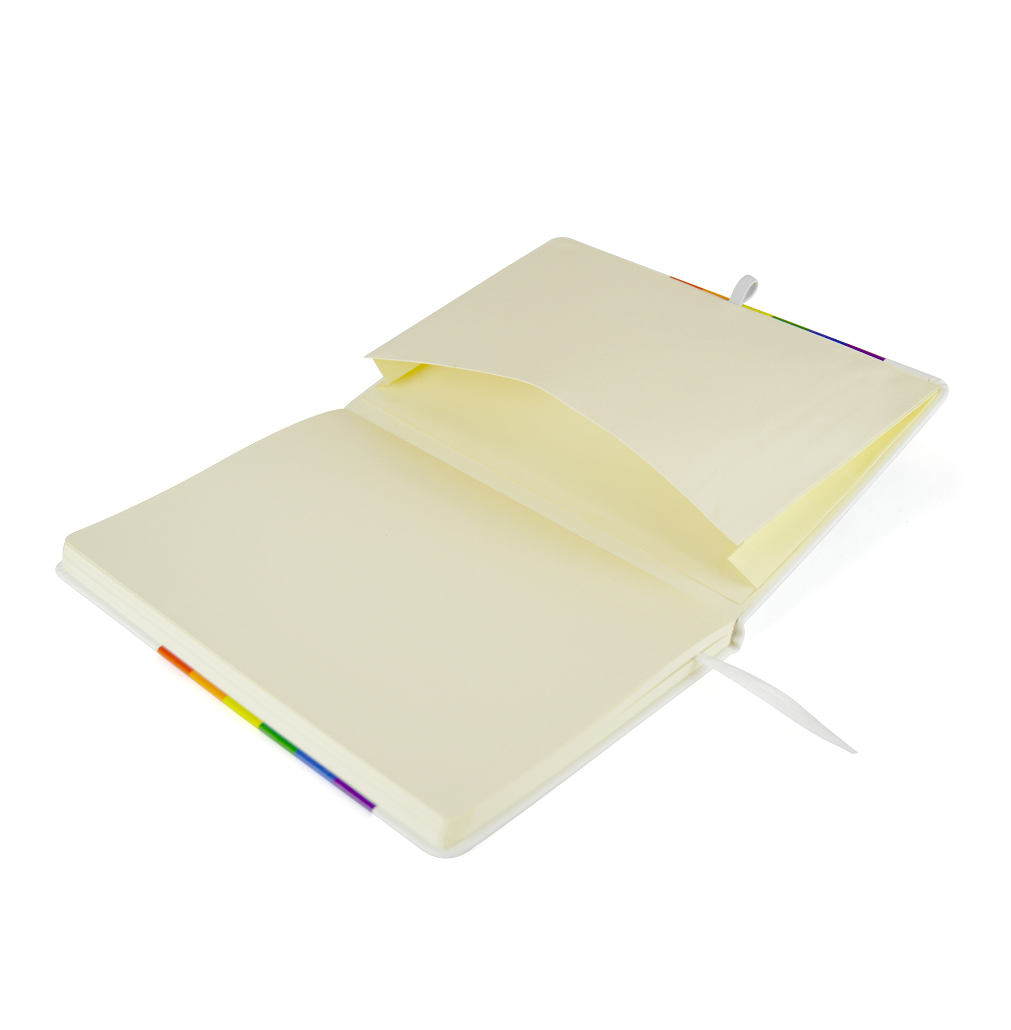 Picture of Rainbow Mole Notebook